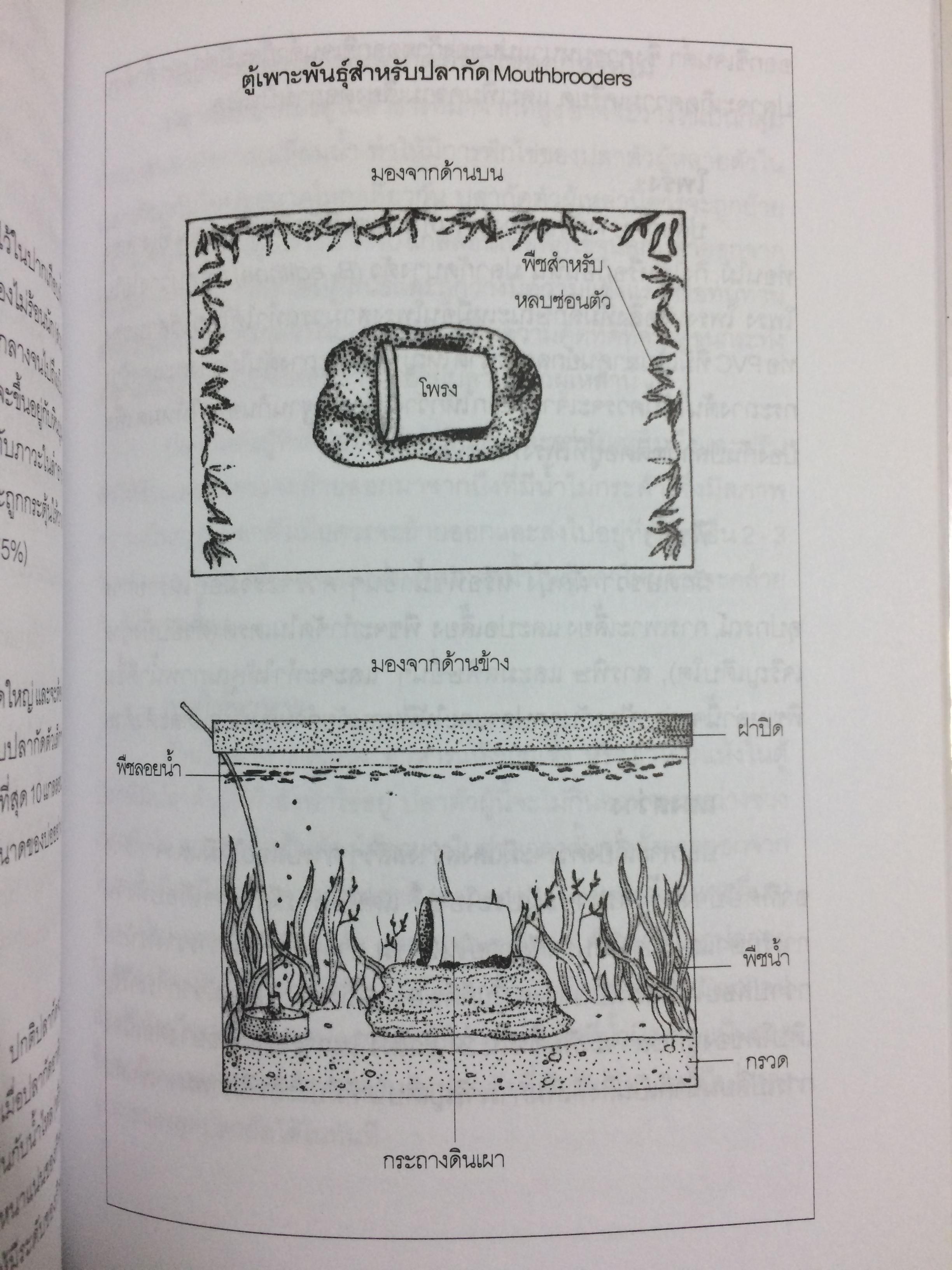 คู่มือปลากัด(Betta Handbook)