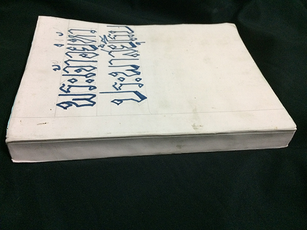 พระเจ้าอยู่หัวประพาสยุโรป