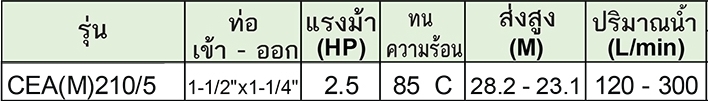LOWARA ปั๊มน้ำแสตนเลส รุ่น CEA(M)210/5 ไฟฟ้า220V
