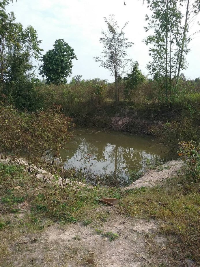 ขายที่ดินสวยราคาถูกที่สุดอ.เกาะคา จ.ลำปางห่างจากปั้มพีทีสาขาเกาะคา 2.94 กม.11 ไร่ 1งาน14ตรว.