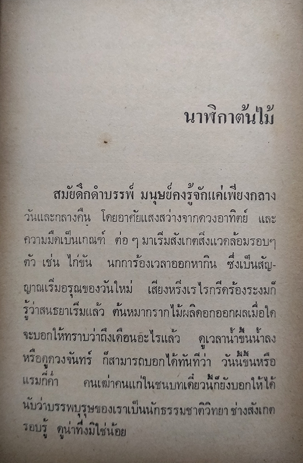 สวนหลังบ้าน เล่ม 1-2