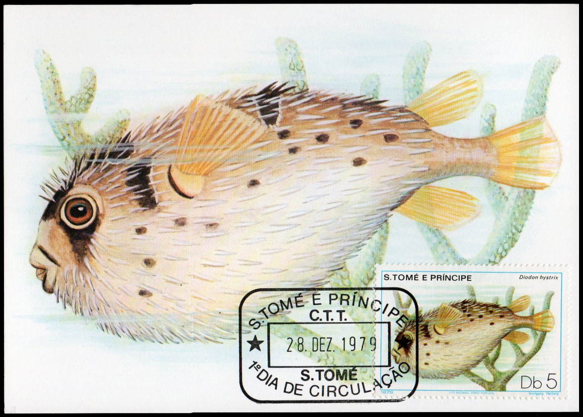 Post Card S.Tome E Principe Fish 1979