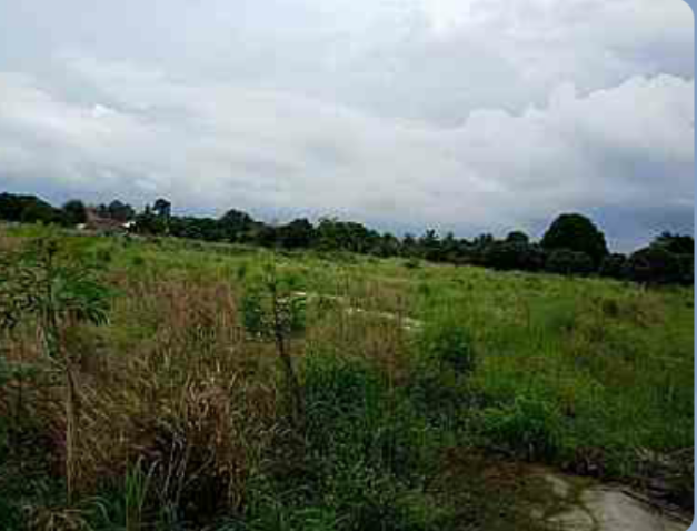 ขายที่ดินเหมาะแก่การทำธุรกิจหรือบ้านจัดสรรใกล้เทศบาล ต.หนองปลาไหลและถนนใหญ่ ชลบุรี-พัทยา ใกล้ชายฝั่งทะเล 7 ไร่ 36 ตรว. อ.บางละมุง จ.ชลบุรี