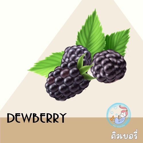 Dewberry น้ำมันหอมระเหยผสม ดิวเบอรี่่ หอมหวาน ชวนให้รู้สึกสนุก Sweet Fruity Watery ละลายในแอกอฮอล์