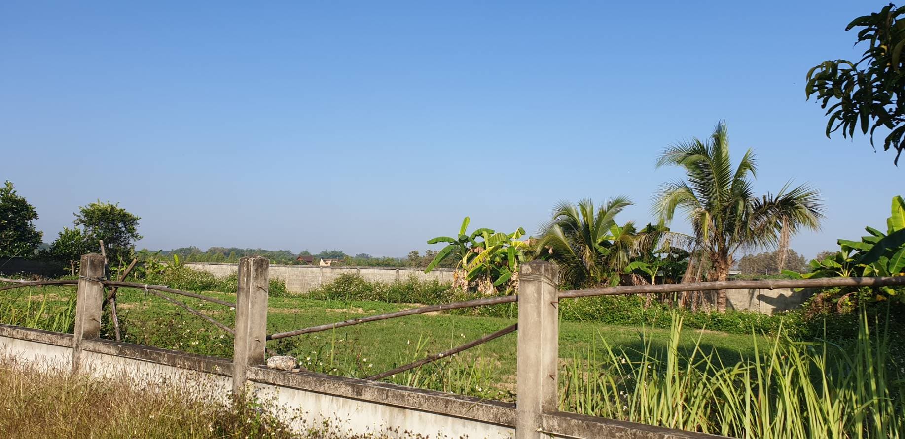 ขายที่ดินสวยราคาถูกห่างจากโรงเรียนอนุบาลเชียงคำ 388 เมตร ใกล้โลตัเชียงคำ 1.74 กม.