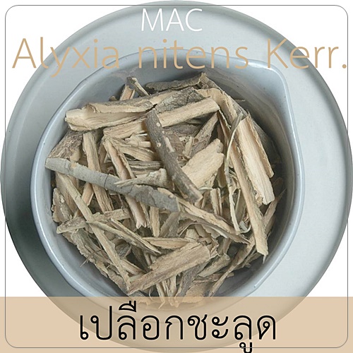 WHITE CINNAMONเปลือกชะลูด