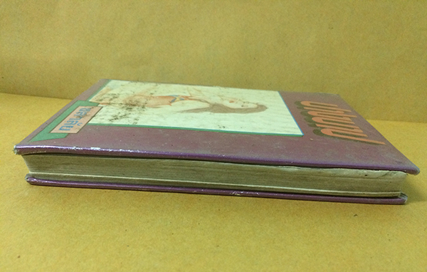 ปางบาป (เล่มเดียวจบ)