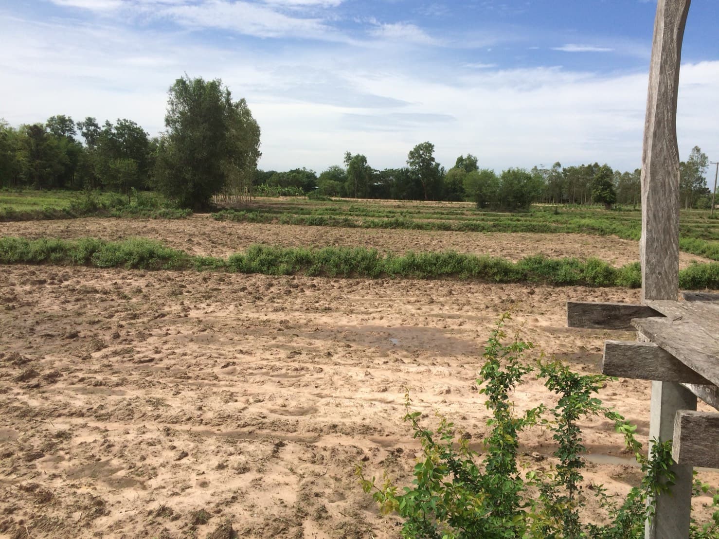 ขายที่ดินสวยราคาถูกที่สุด อ.หนองหาน จ.อุดรธานี ห่างจาก อบต.สร้อยพร้าว 2.4 กม.