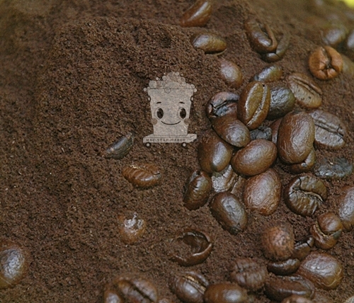 COFFEE GROUND กากกาแฟ/ไม่มีกลิ่น