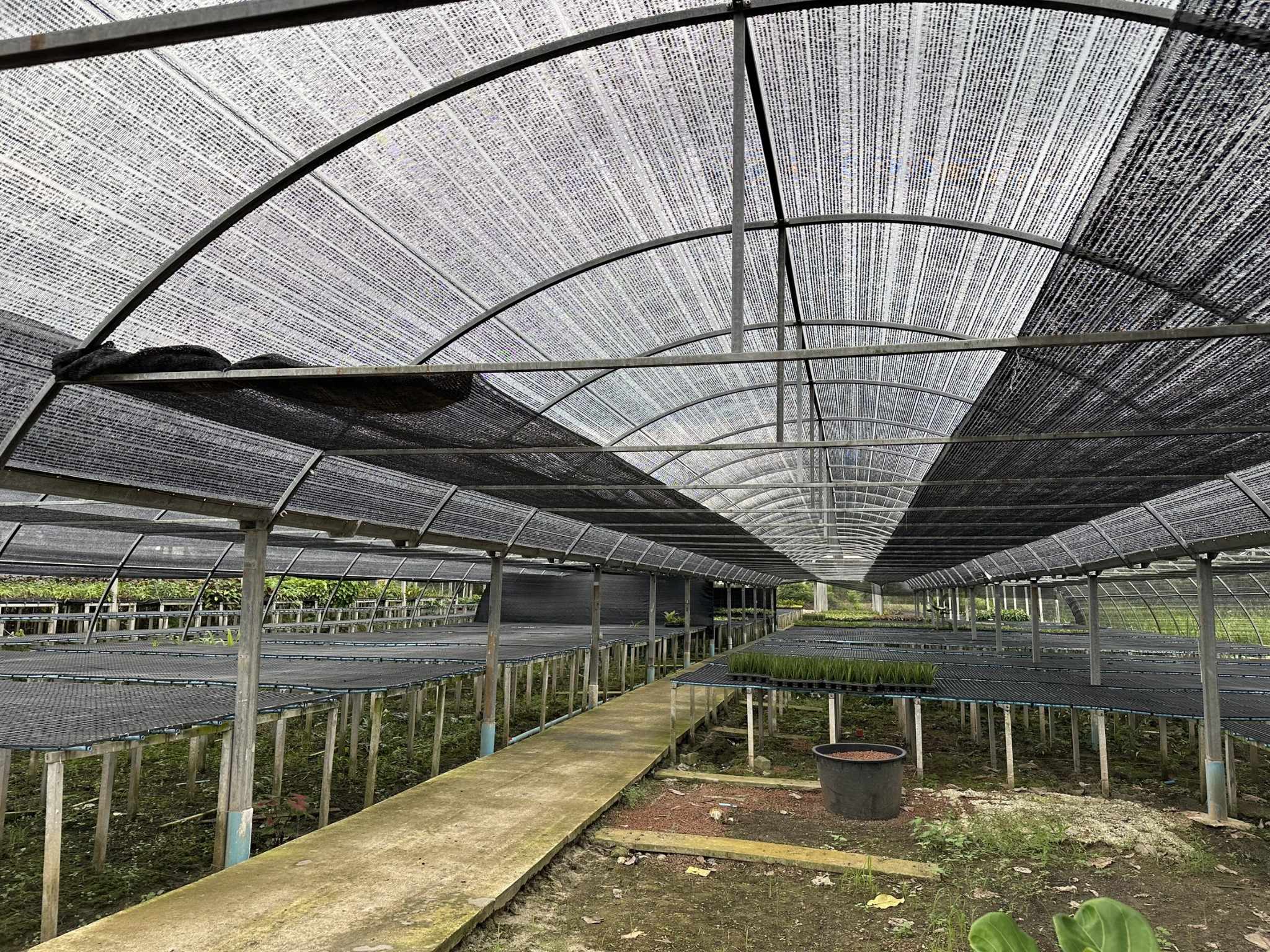 ขายที่ดินอำเภอบางเลนพร้อมสิ่งปลูกสร้าง4ไร่3งาน66 ตรว.ใกล้อบต.บางระกำติดถนนลาดยางจ.นครปฐม