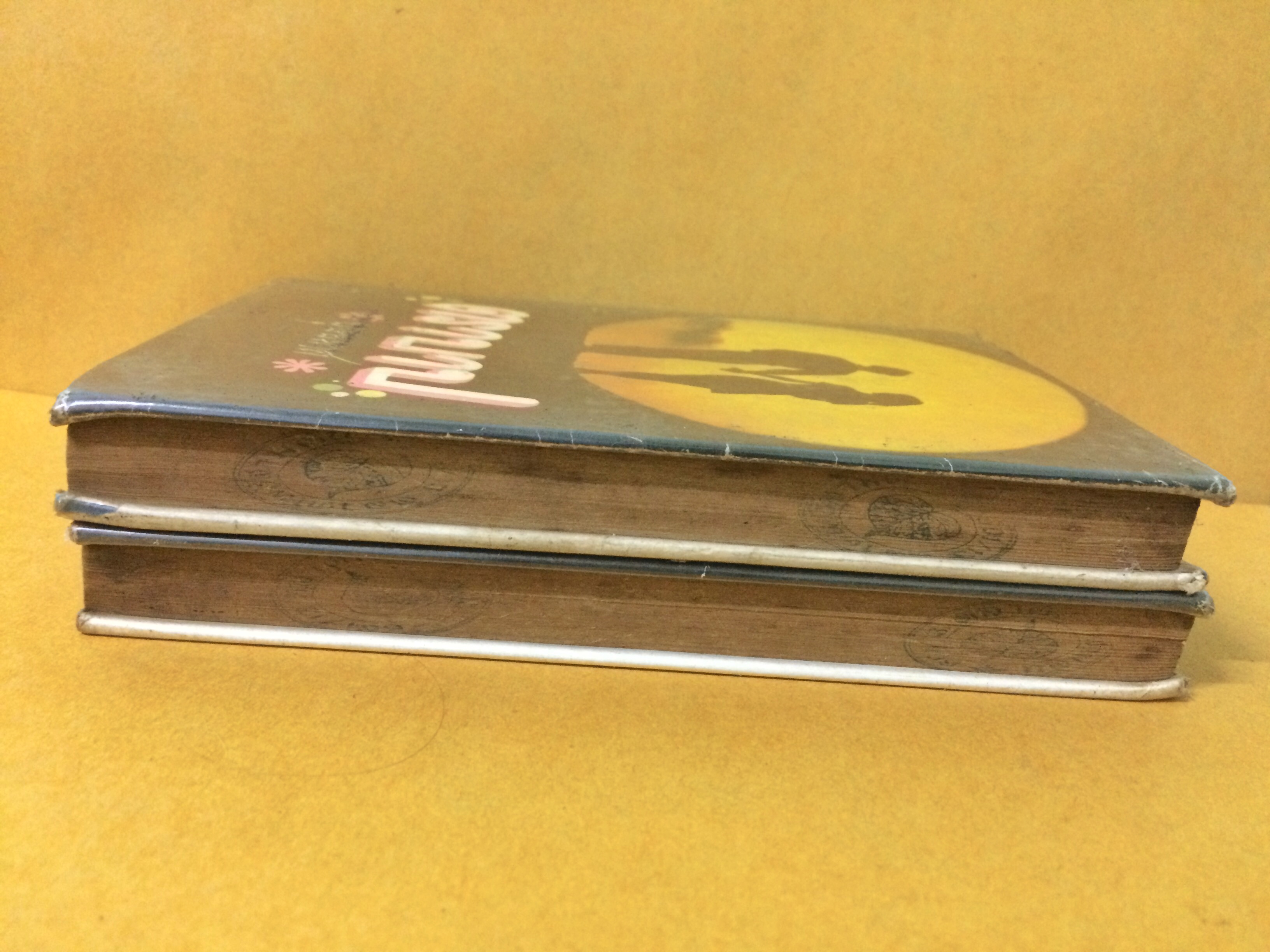 ตราบาป (1-2เล่มจบ)