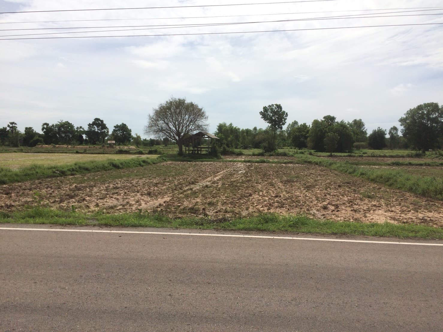 ขายที่ดินสวยราคาถูกที่สุด อ.หนองหาน จ.อุดรธานี ห่างจาก อบต.สร้อยพร้าว 2.4 กม.