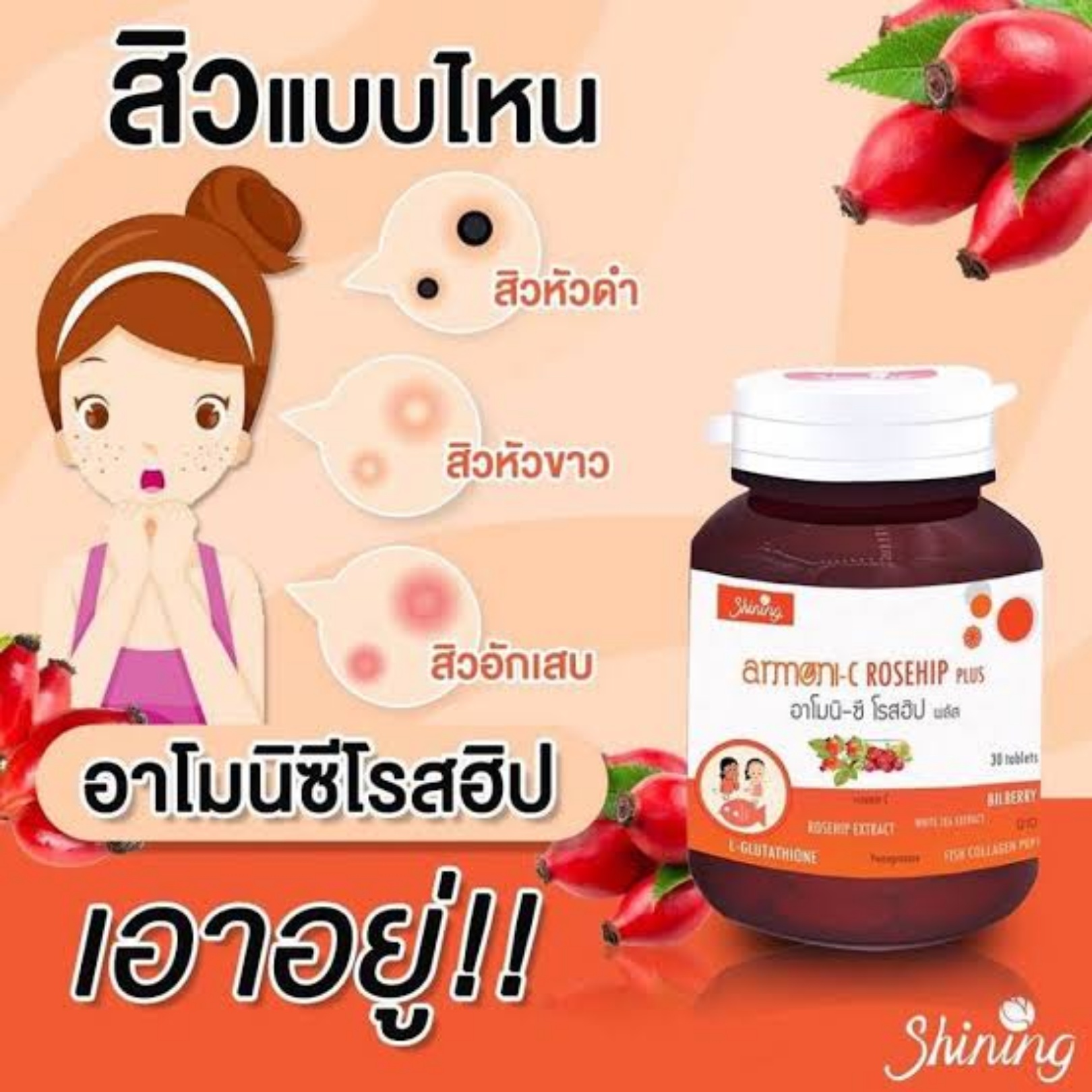 Armoni-C Rosehip Plus 39,000mg.