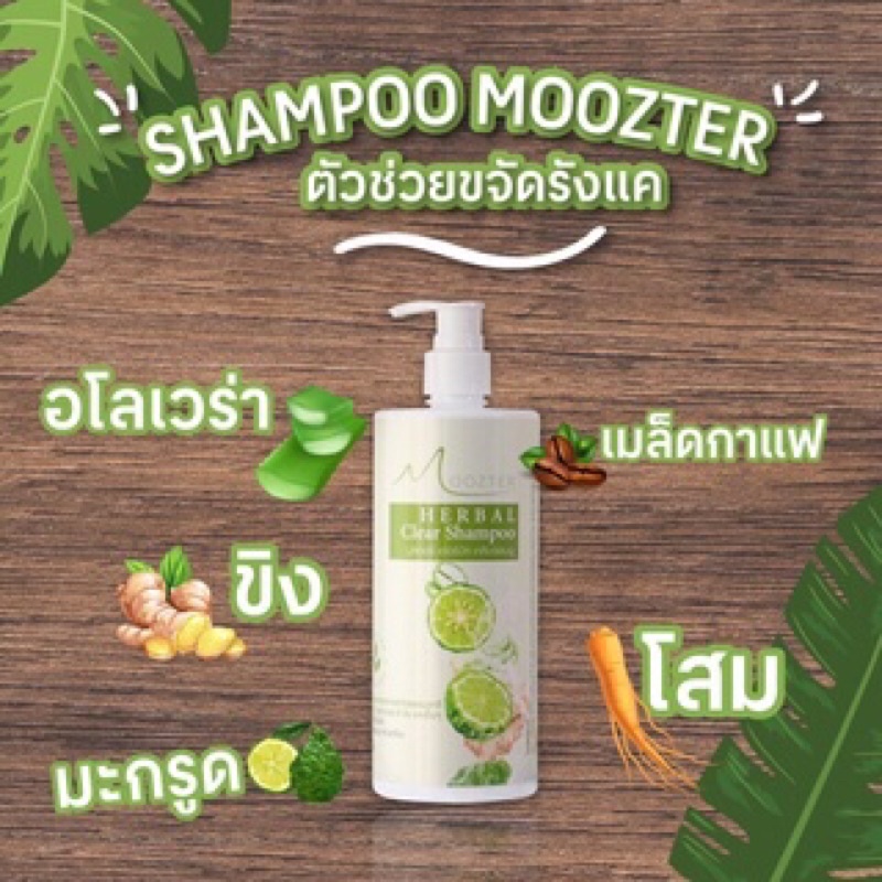 แชมพูสมุนไพร ขจัดรังแค สูตรเย็น 300 ml Moozter Herbal Clear Shampoo Anti dandruff
