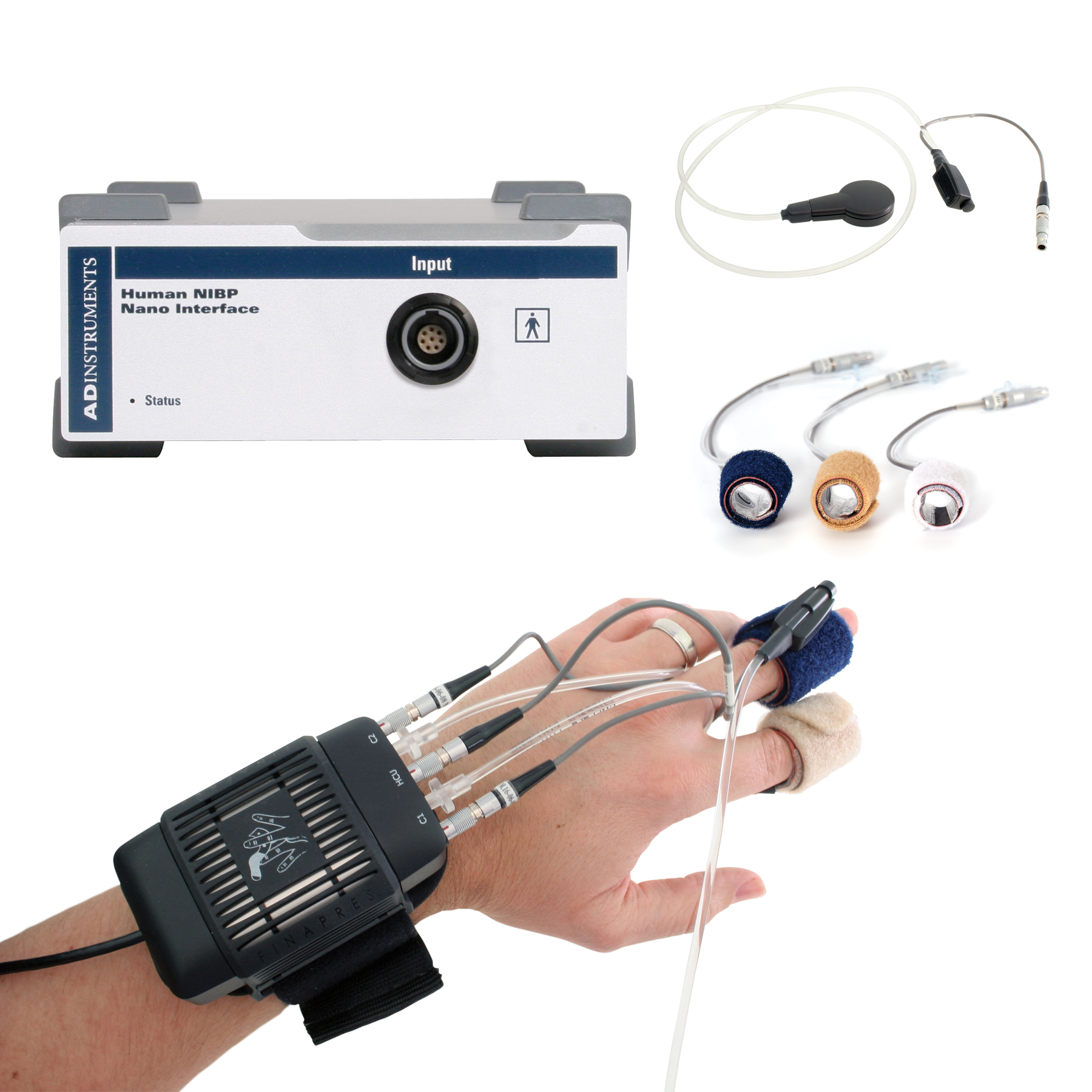 NIBP System