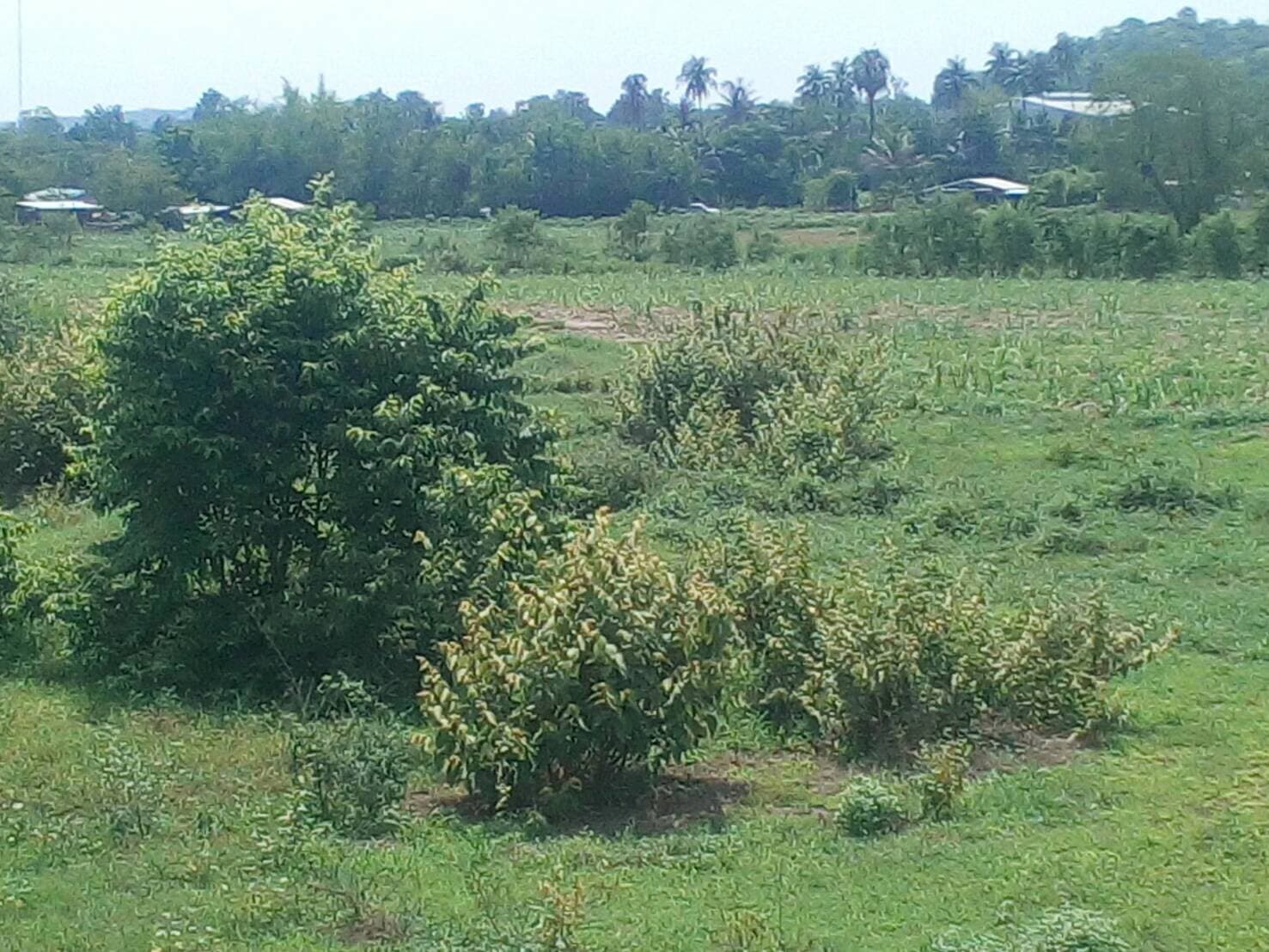 ขายที่ดินสวยราคาถูก อ.บ้านโป่ง จ.ราชบุรี 16 ไร่ 2 งาน 8 ตรวม.