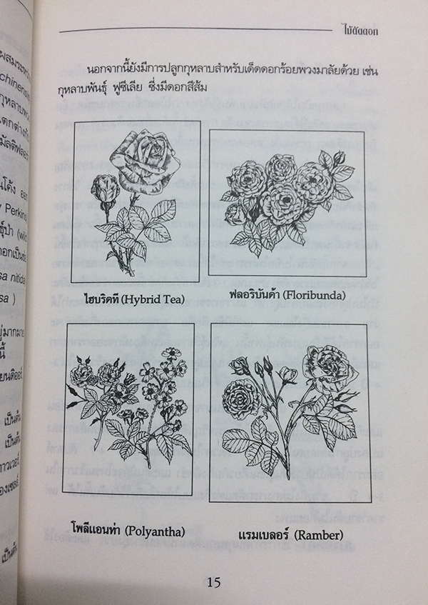 คู่มือการปลูกไม้ตัดดอก