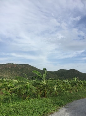 ขายที่ดินจัดสรรค์สวยราคาถูกติดถนน 3 ด้านห่างทุ่งดินดำรีสอร์ท 548 เมตร ใกล้อบต. เลาขวัญ 2.8 กม. รพ.เลาขวัญ4.8กม.อ.อู่ทอง จ.สุพรรณบุรี