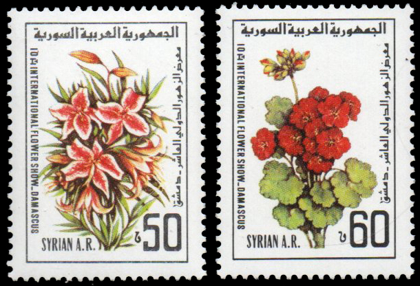 Flowers