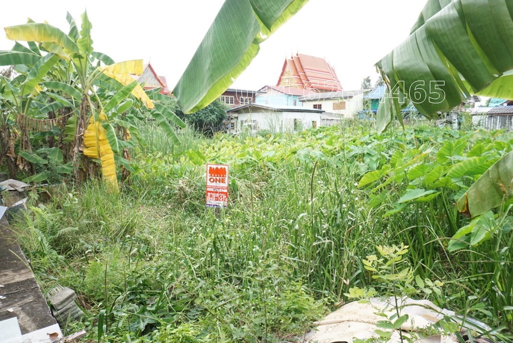 ขายที่ดินเปล่า ใกล้วัดศาลาแดงคลองทวีวัฒนา ขนาด 89.5 ตร.ว.