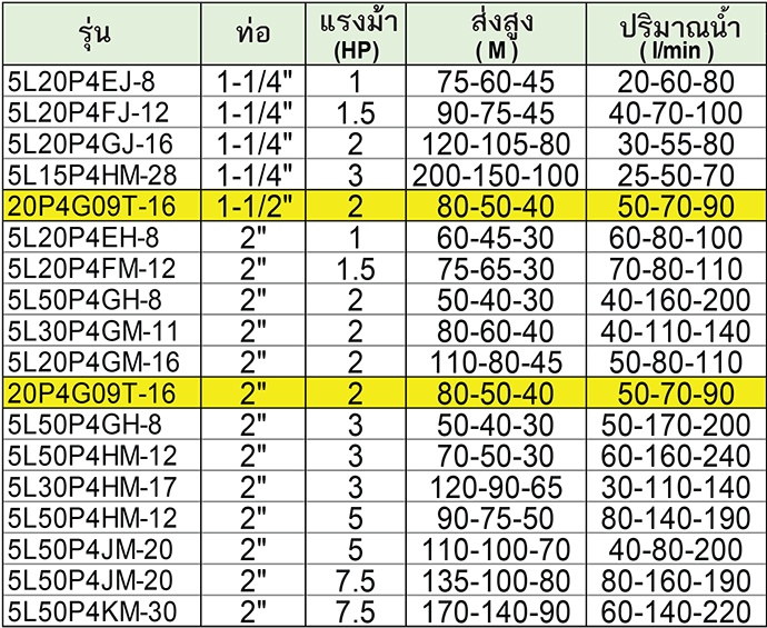 BERKELEY ปั๊มสูบน้ำบาดาล รุ่น 5L20P4FJ-12 (380V)