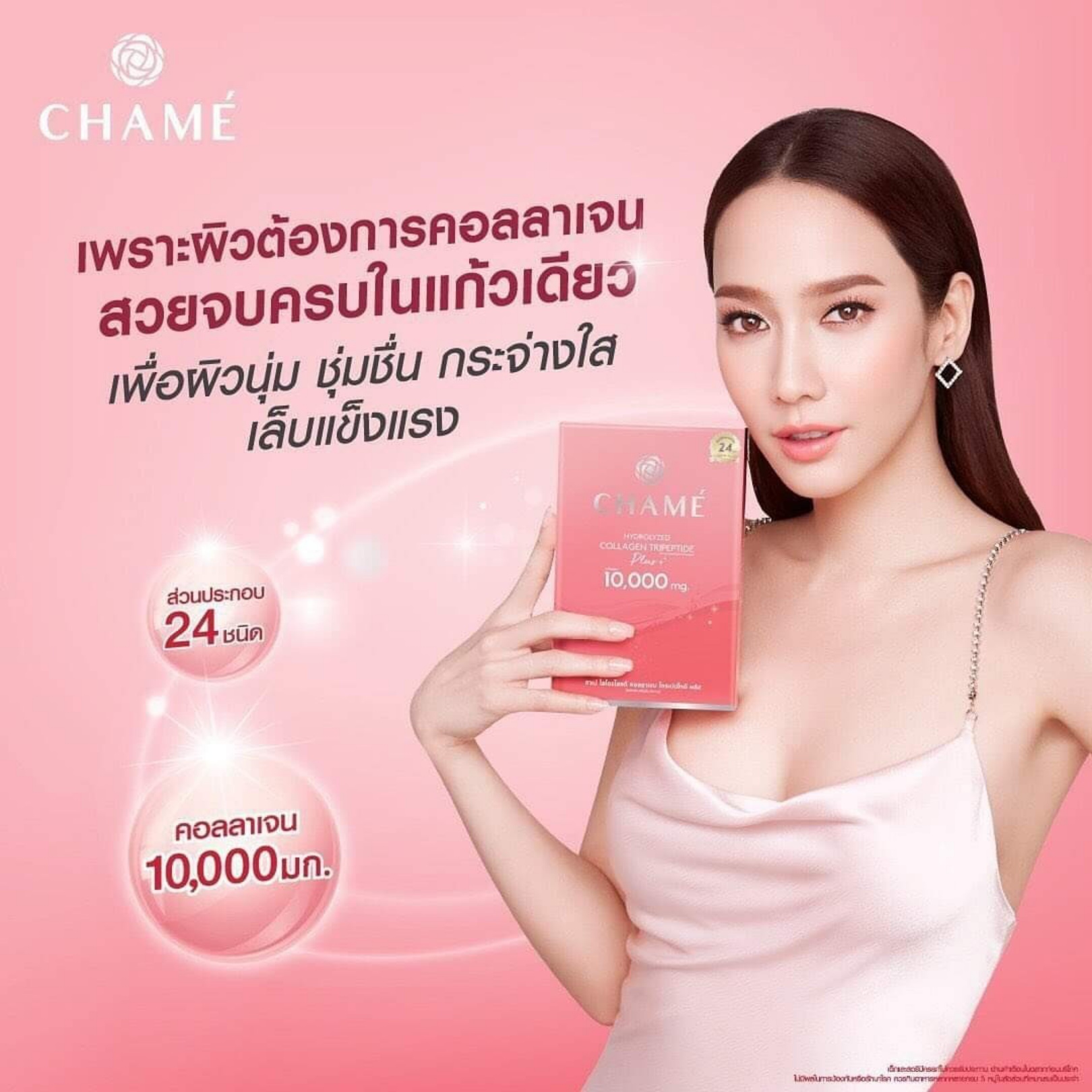 ชาเม่ ราคา