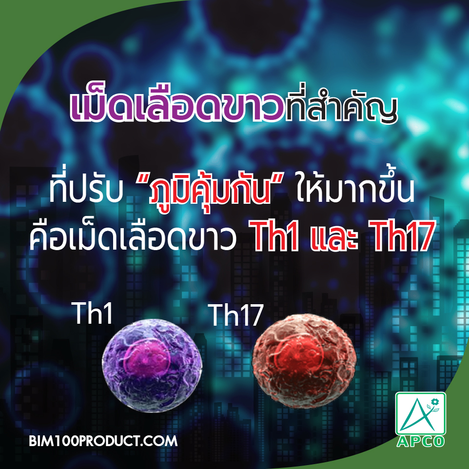 BIM100 hotline1-1