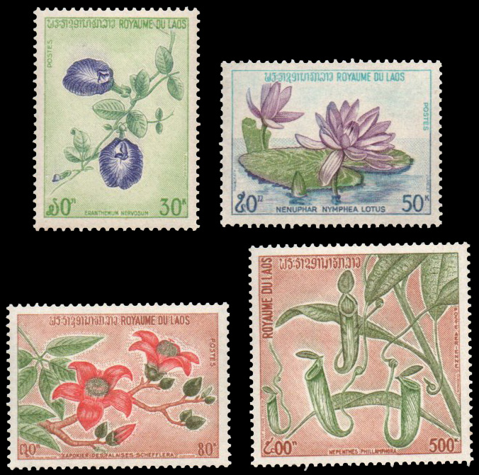 Laotian Flora 1974