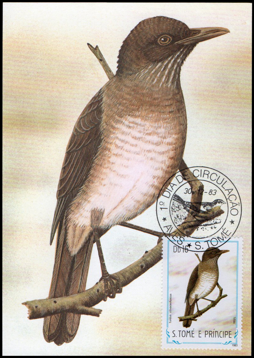 Post Cards S.Tome E Principe Bird 1983