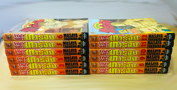 จ้าวป่าจอมฮาทาร์จัง (12 เล่มจบ)