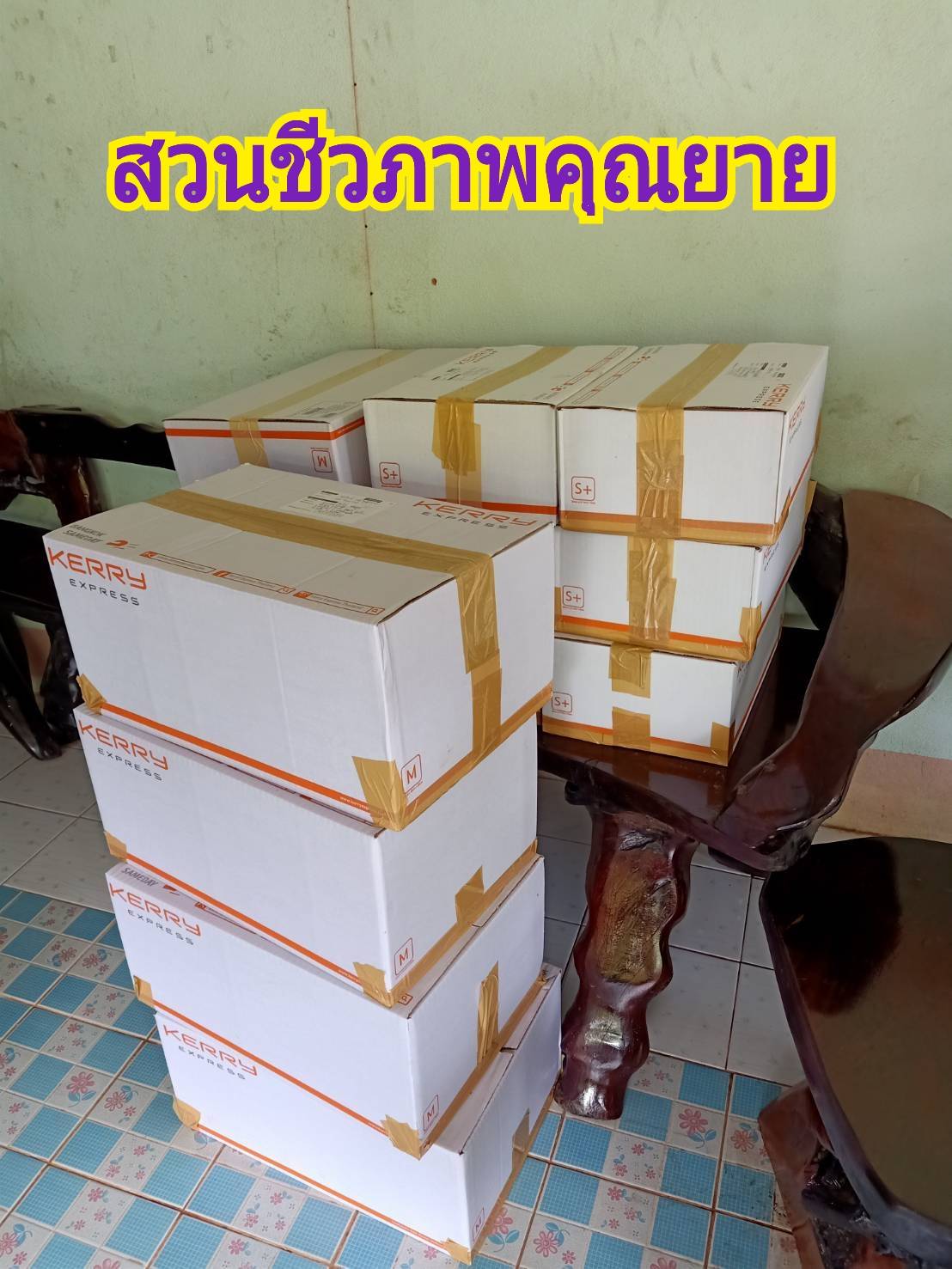มังคุดออร์แกนิคของดีเมืองนครโปรพิเศษ 5 กก. แถมส่งฟรี #ปลอดสาร #ไม่มีสารเคมี สดจากสวนทุกลูก อร่อยทุกลูก