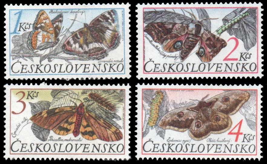 Butterflies