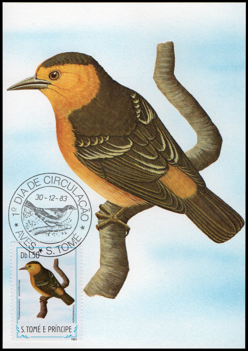 Post Cards S.Tome E Principe Bird 1983