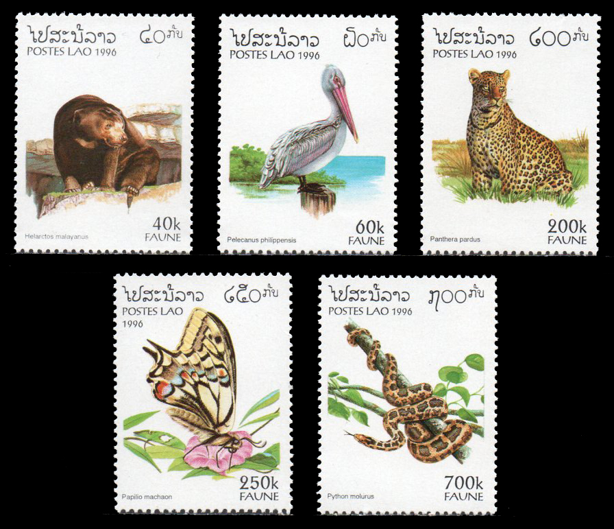 Fauna 1996
