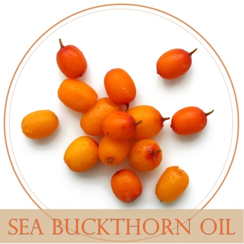 SEA BUCKTHON ซีบัคธอร์น