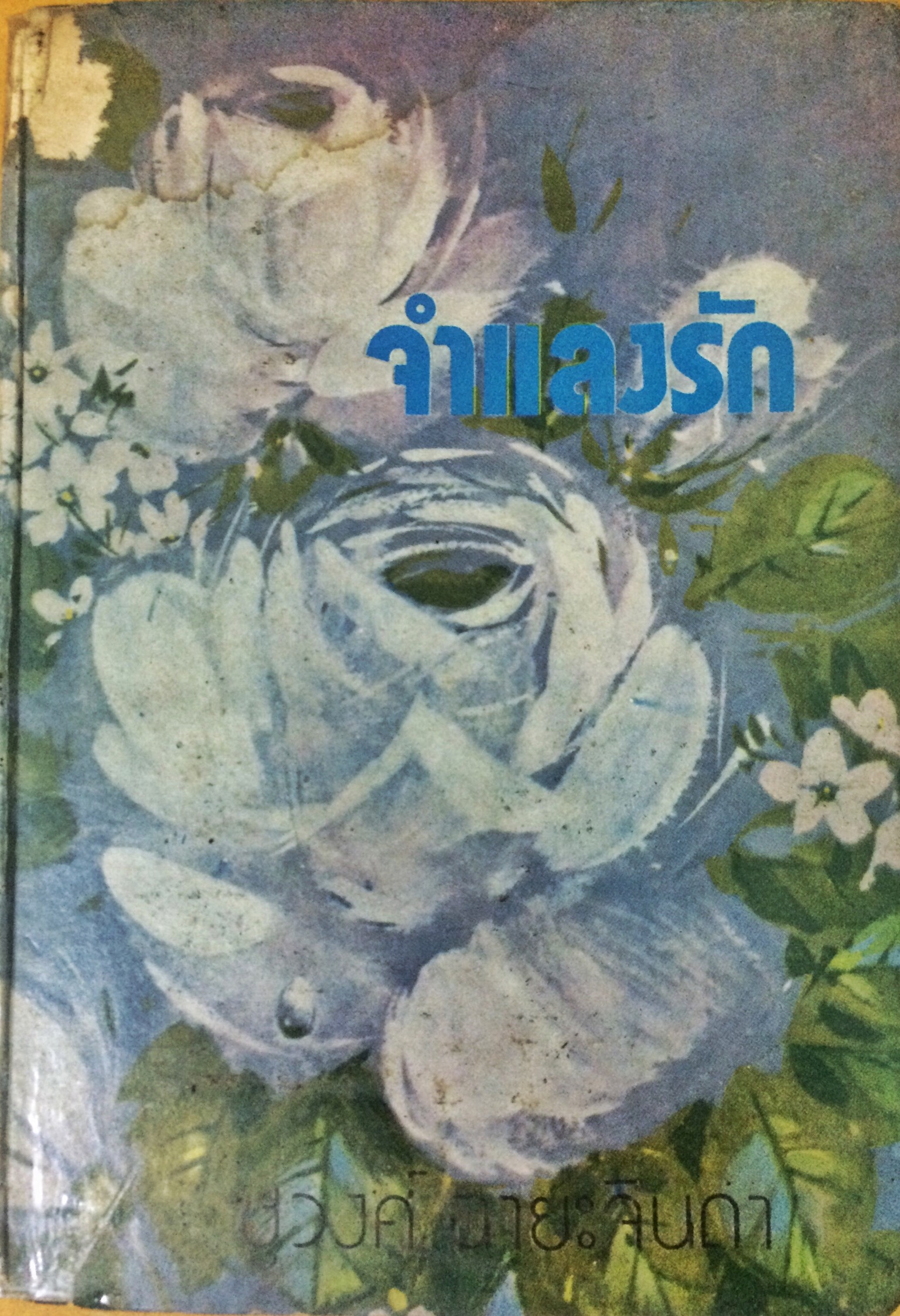 จำแลงรัก (เล่มเดียวจบ)