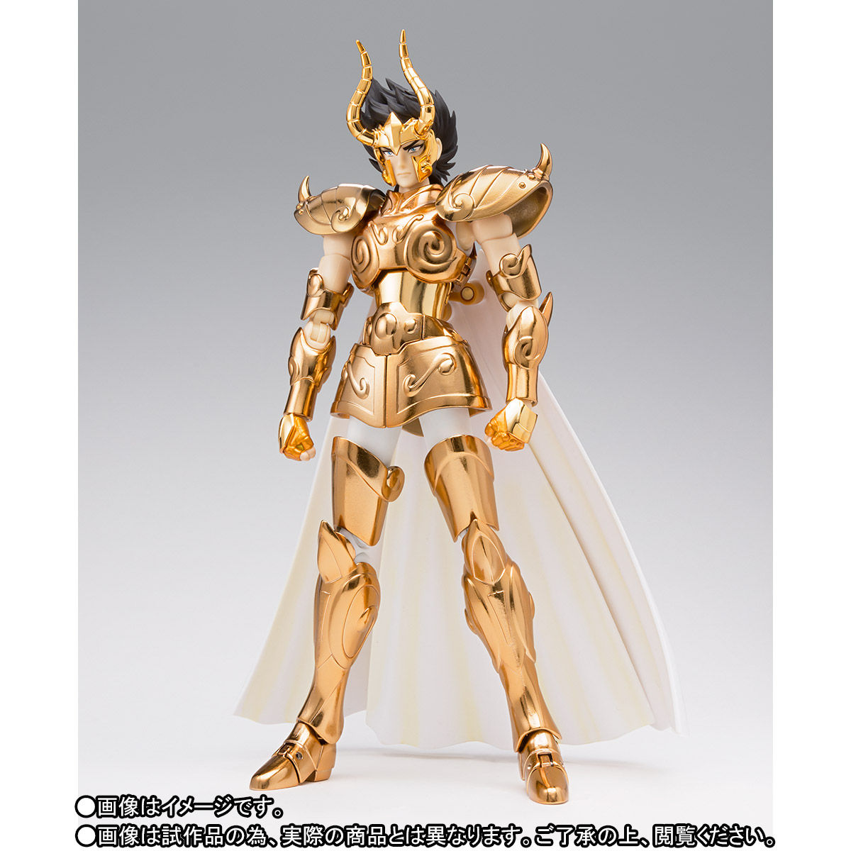 Saint Cloth Myth EX Capricorn Shura OCE Lot Jp.