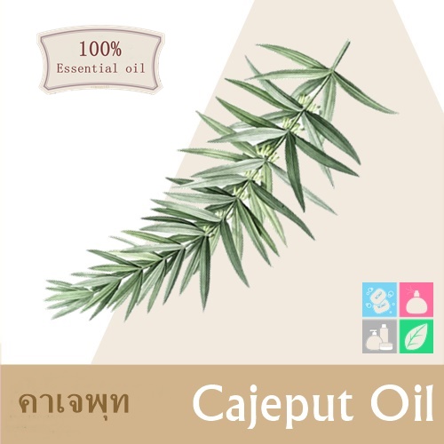 Cajeput Oil / น้ำมันหอมระเหยคาเจพุท (น้ำมันเขียว หรือ น้ำมันเสม็ด) ละลายในแอกอฮอล์และน้ำมัน COA