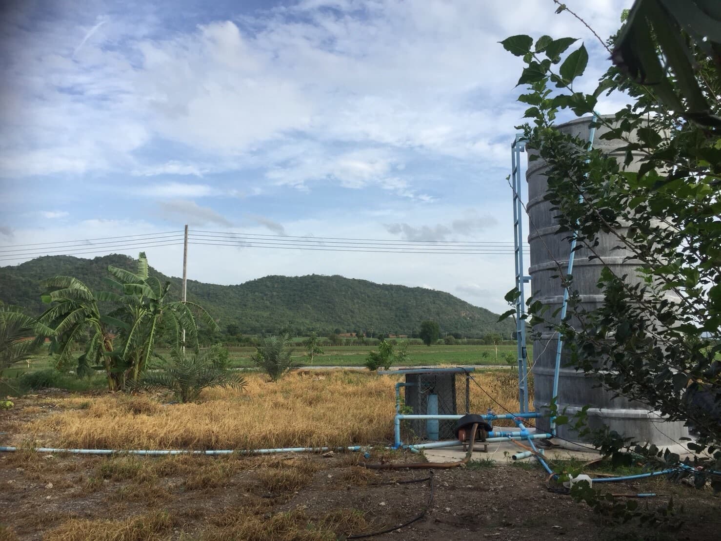 ขายที่ดินจัดสรรค์สวยราคาถูกติดถนน 3 ด้านห่างทุ่งดินดำรีสอร์ท 548 เมตร ใกล้อบต. เลาขวัญ 2.8 กม. รพ.เลาขวัญ4.8กม.อ.อู่ทอง จ.สุพรรณบุรี