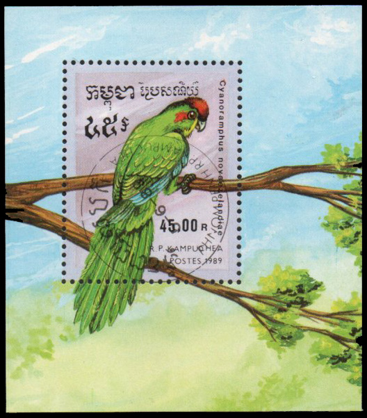 Birds