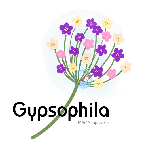 Gypsophila น้ำมันหอม ยิปโซฟิลล่า กลิ่นหอมแสนหวาน สดชื่น นุ่มนวล บริสุทธิ์ ละลายในน้ำมัน