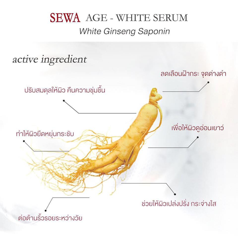(ยกกล่อง 6 ซอง) Sewa Insam Essence เซวาน้ำโสม/Sewa Age-White Serum เซวาเซรั่ม/Sewa Rose Whiteningเซวาเดย์ครีม