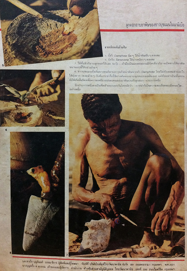 ชัยพฤกษ์วิทยาศาสตร์ ฉบับที่ 216 ปีที่ 35 ฉบับที่ 11 : มิถุนายน 2531