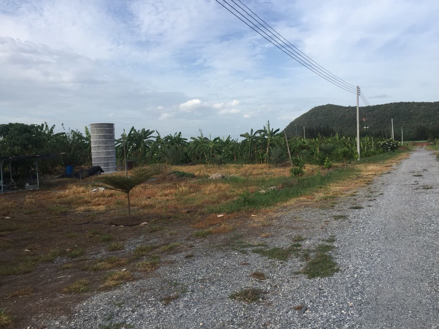 ขายที่ดินจัดสรรค์สวยราคาถูกติดถนน 3 ด้านห่างทุ่งดินดำรีสอร์ท 548 เมตร ใกล้อบต. เลาขวัญ 2.8 กม. รพ.เลาขวัญ4.8กม.อ.อู่ทอง จ.สุพรรณบุรี