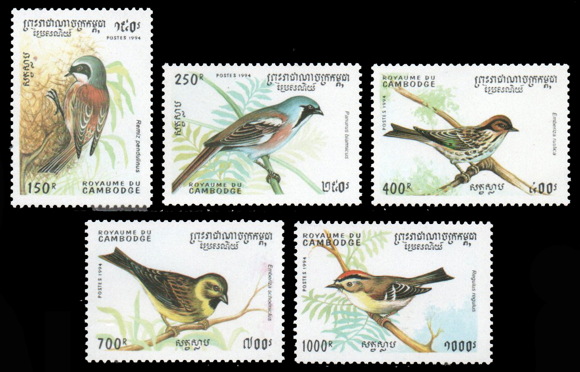 1994 Birds