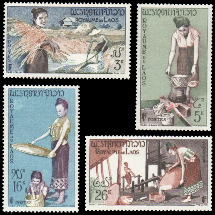 1957 Rice Cultivation