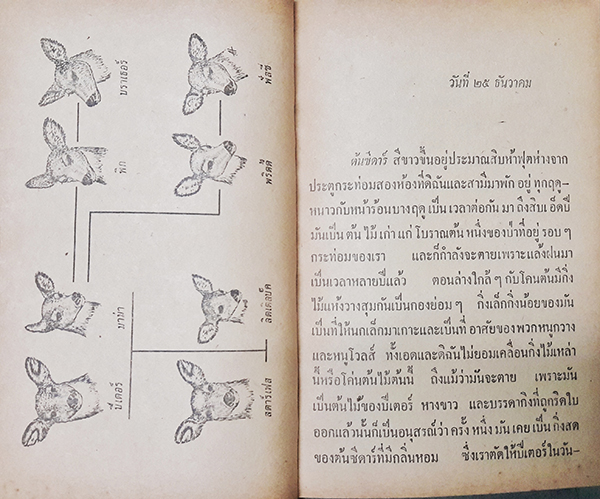 หนังสือแปลชุดเสรีภาพ เล่มที่ ๖๔ : ของขวัญจากกวาง (The Gift of the Deer)