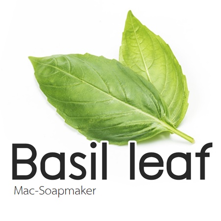 BASIL LEAF /Sweet Basil/ น้ำมันหอมระเหยโหระพา
