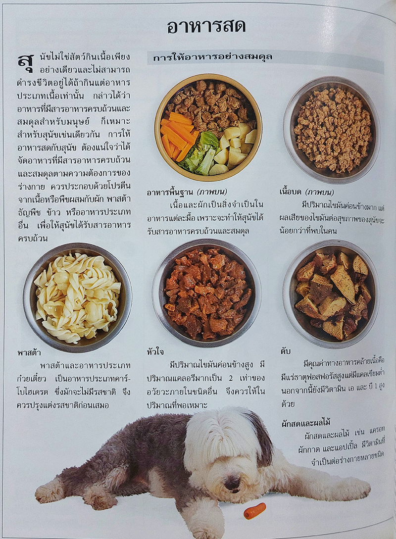 คู่มือดูแลสุนัขฉบับสมบูรณ์ (Complete Dog Care Manaul)