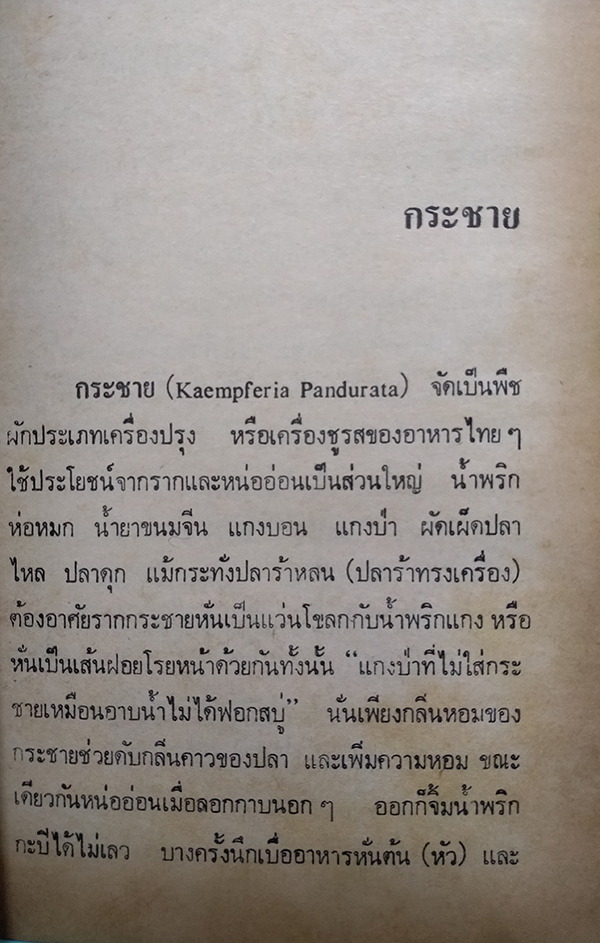 สวนหลังบ้าน เล่ม 1-2